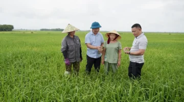 خطة طموحة لضمان تحقيق حصاد وفير خلال الموسم الزراعي القادم في البلاد